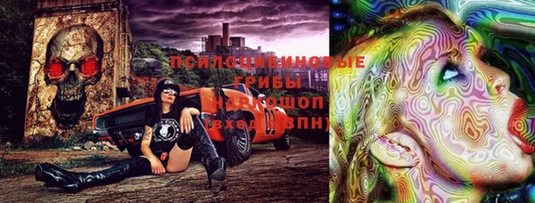 ПСИЛОЦИБИНОВЫЕ ГРИБЫ Нефтегорск