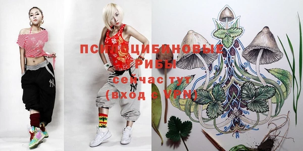 ПСИЛОЦИБИНОВЫЕ ГРИБЫ Нефтегорск