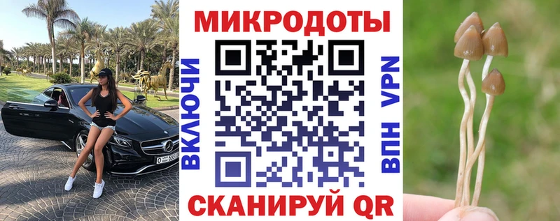 Купить где  Красногорск  Галлюциногенные грибы GOLDEN TEACHER 